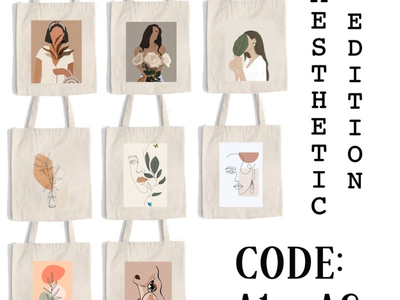 Aesthetic bag (Canvas)